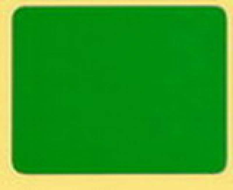 Number plate holder self-adhesive in green 22 CM