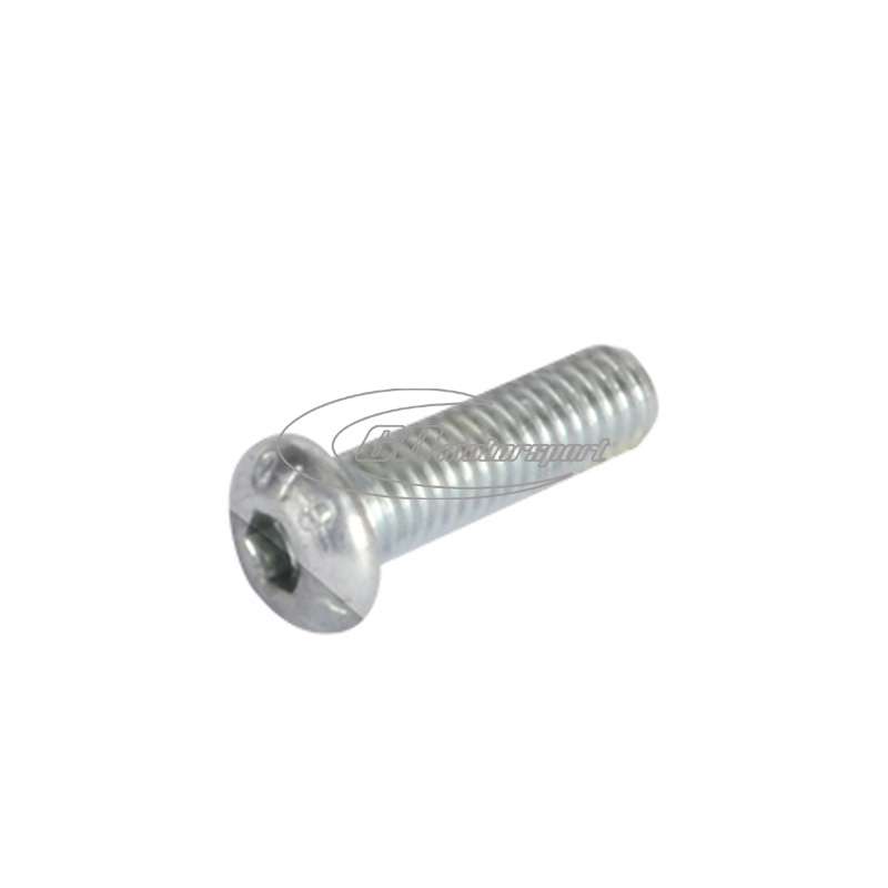 TB screw 5x10 mm