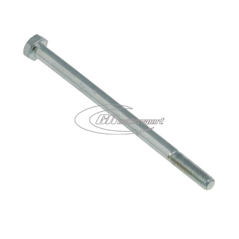 TE screw 6x100 mm