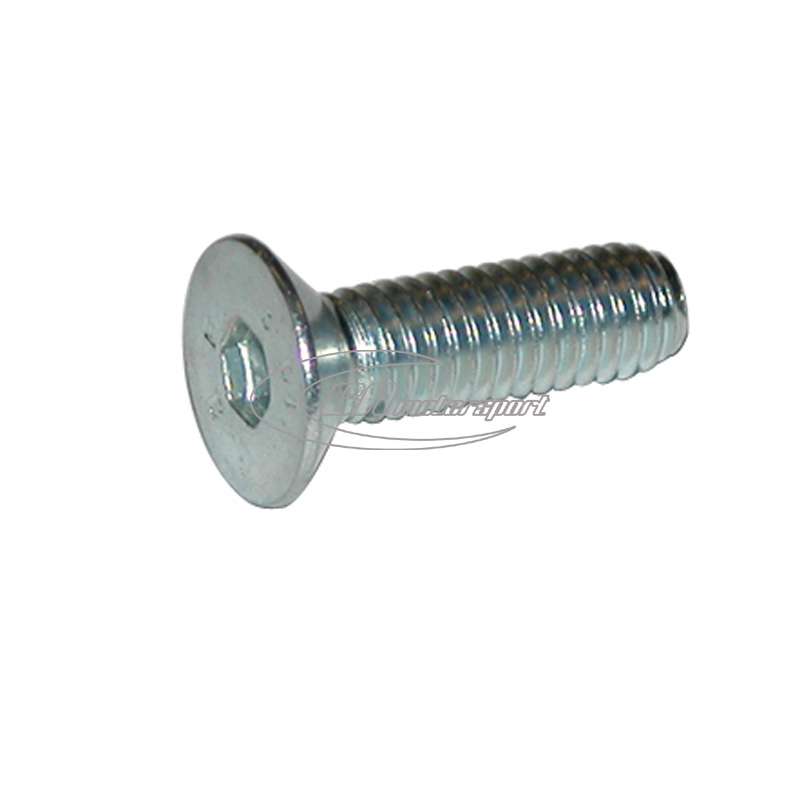 TPSCEI screw 6x25 mm