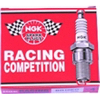 Spark plug NGK B10 EG